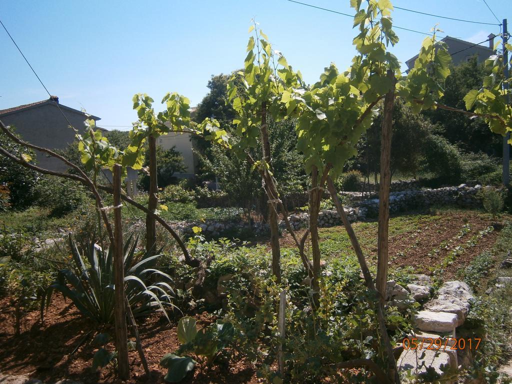 Holiday Home Loznati Cres Exterior photo